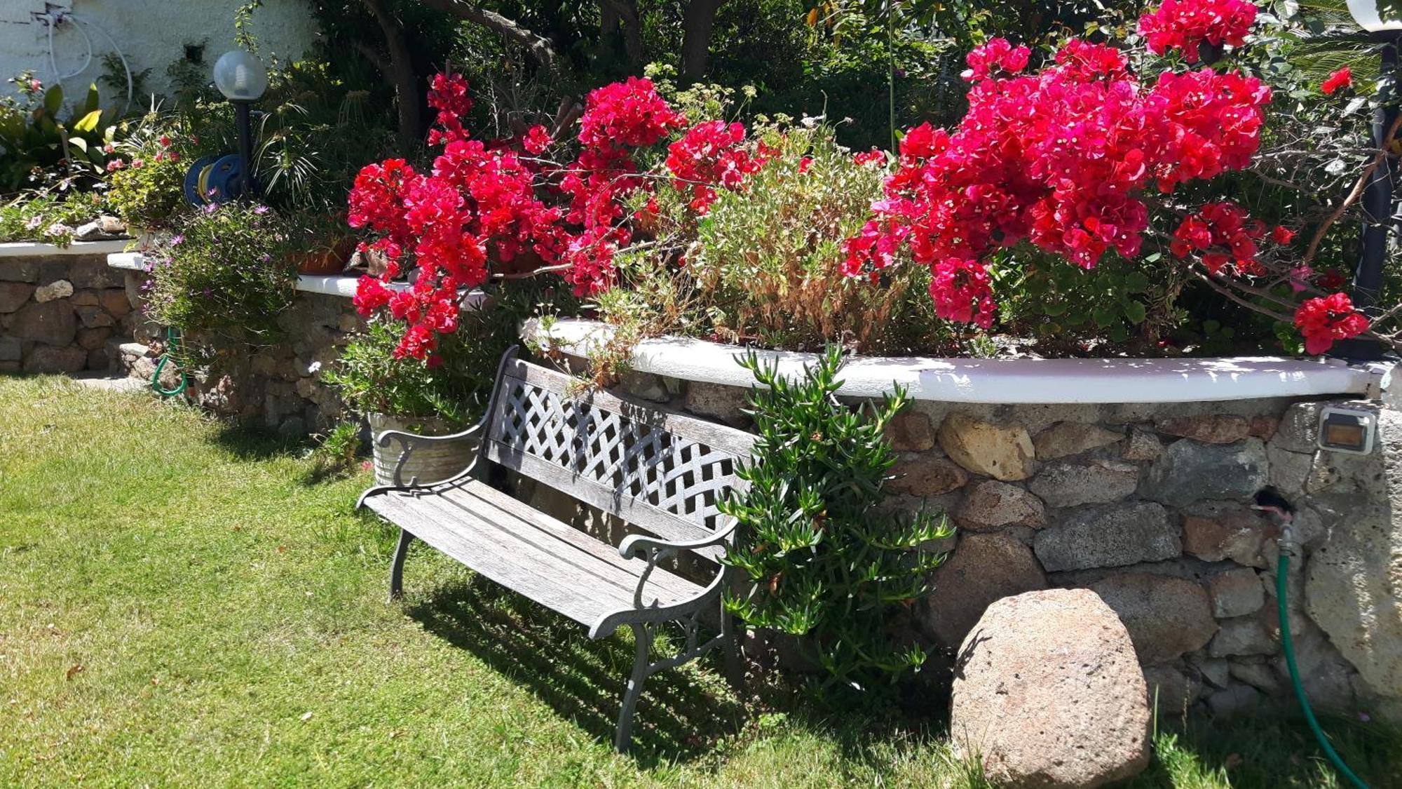 Casa Acqua Marina Ponza Lägenhet Exteriör bild