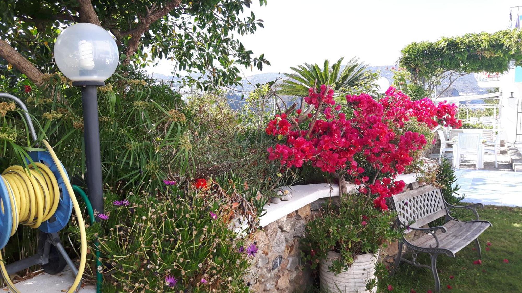 Casa Acqua Marina Ponza Lägenhet Exteriör bild